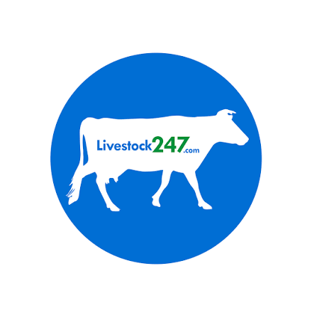 Livestock 247